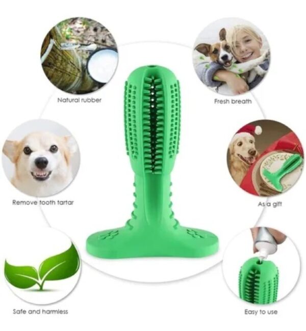 Cepillo Dientes Para Mascotas Juguete Antisarro